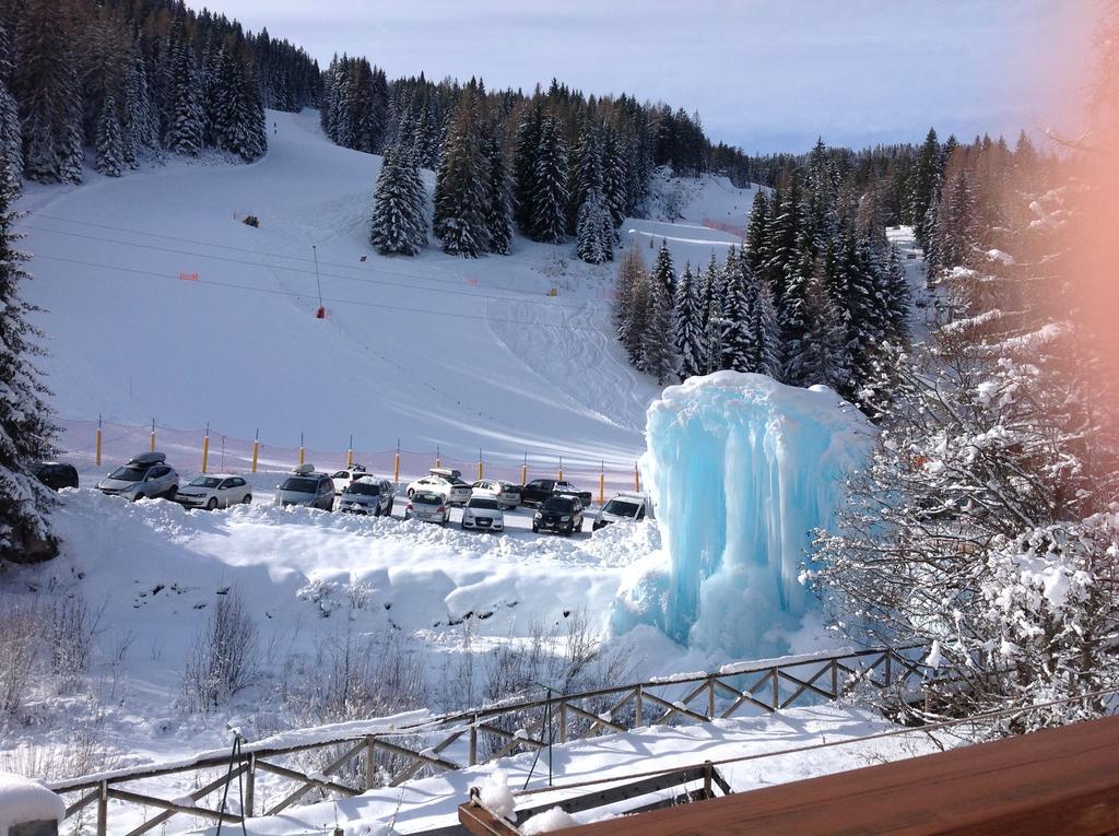 Scoiattolo Selva di Cadore